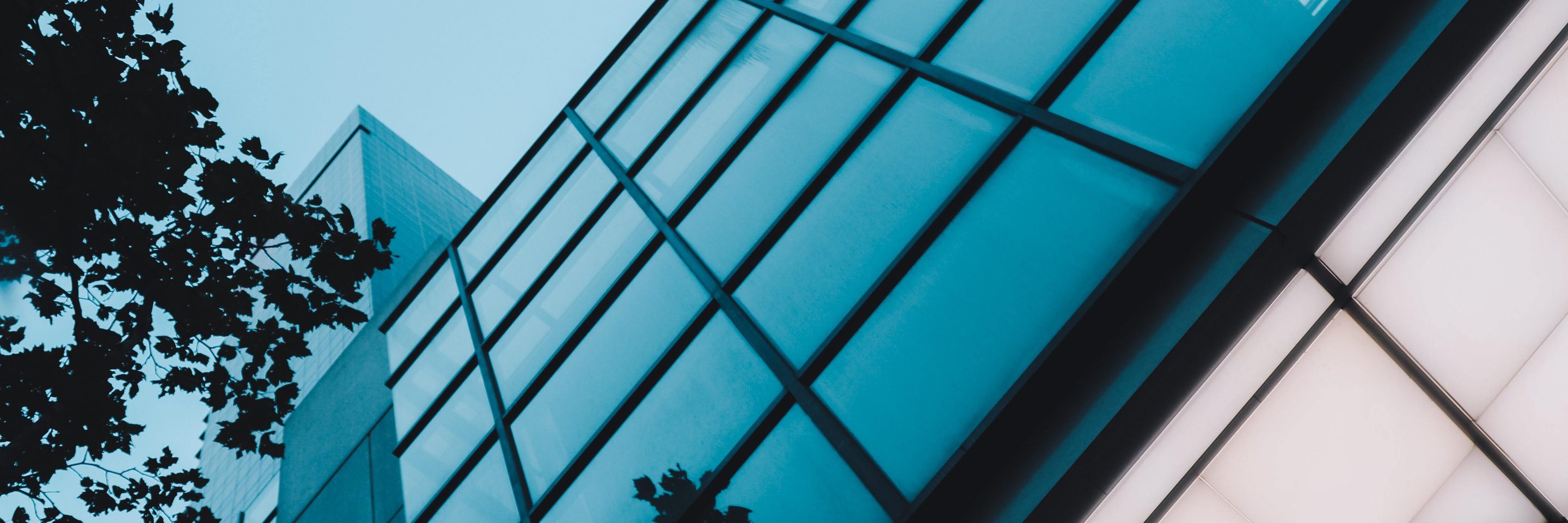 55 BUIDINGS 2025 08 28 083836 tmtr