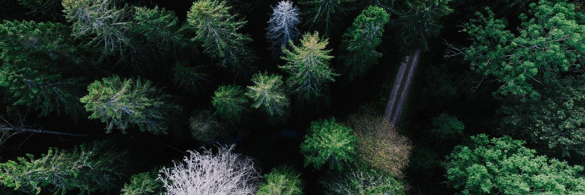 https://bti-global.transforms.svdcdn.com/production/shared-image-library/natural-environments/42_AERIAL.jpg?w=2880&h=960&q=75&auto=format&fit=min&dm=1785644353&s=9ca6472c6e91bd098cb49b0a4e2914fe
