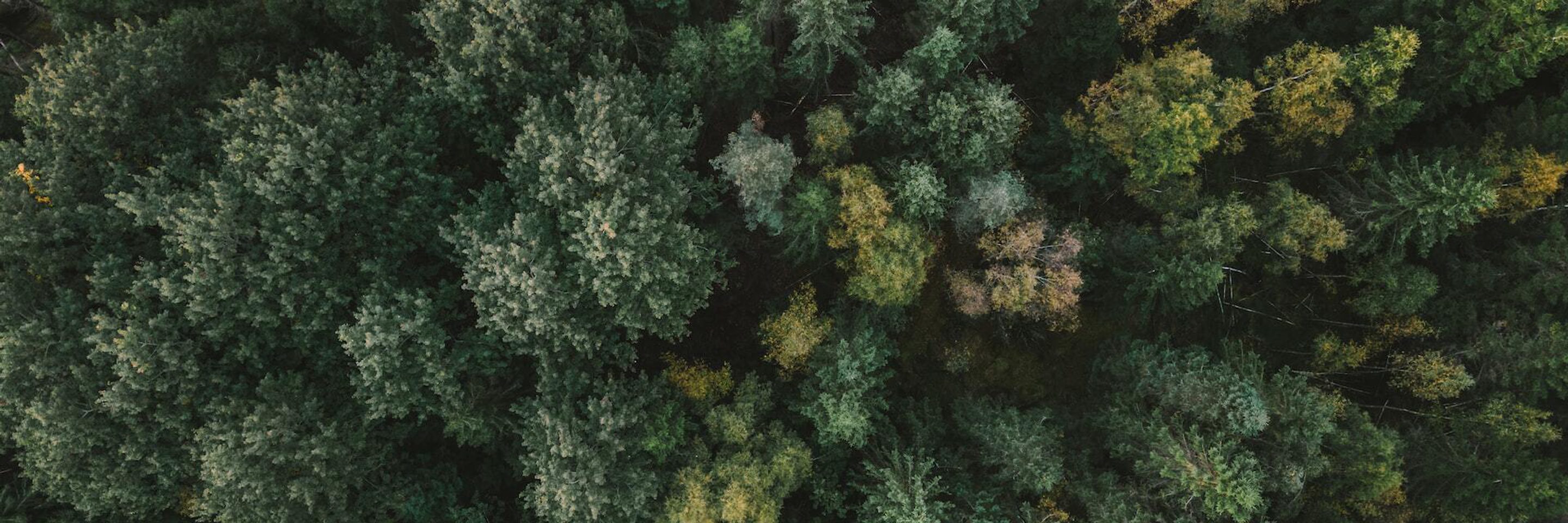 47 AERIAL
