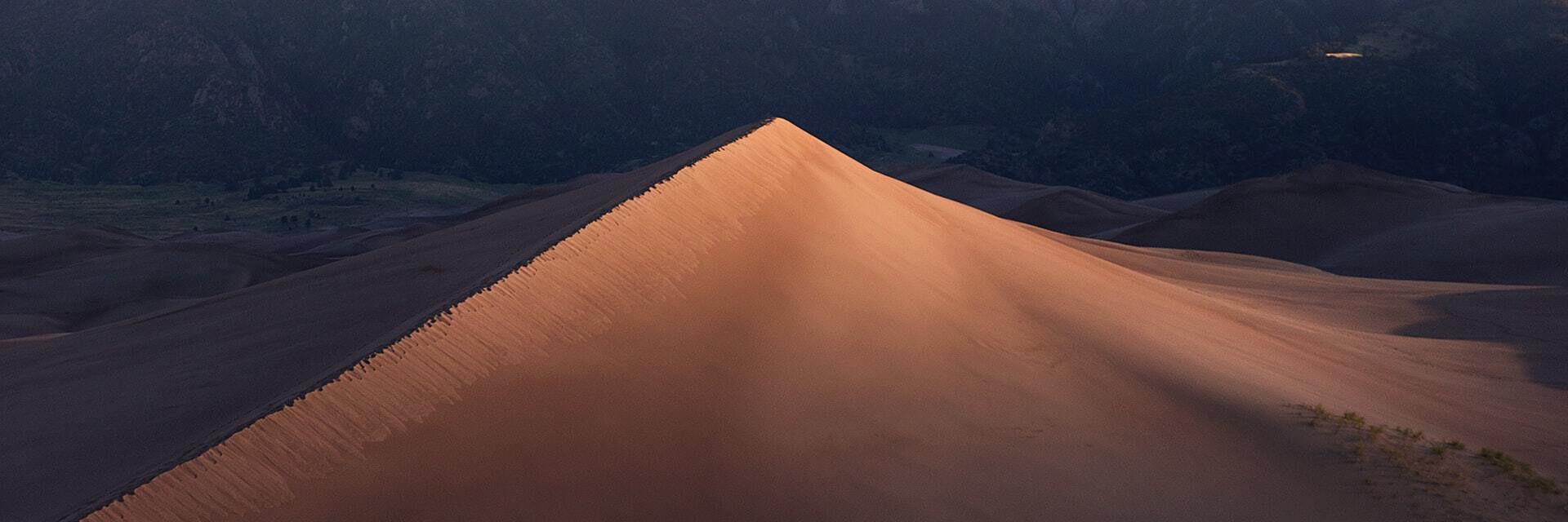 50 AERIAL