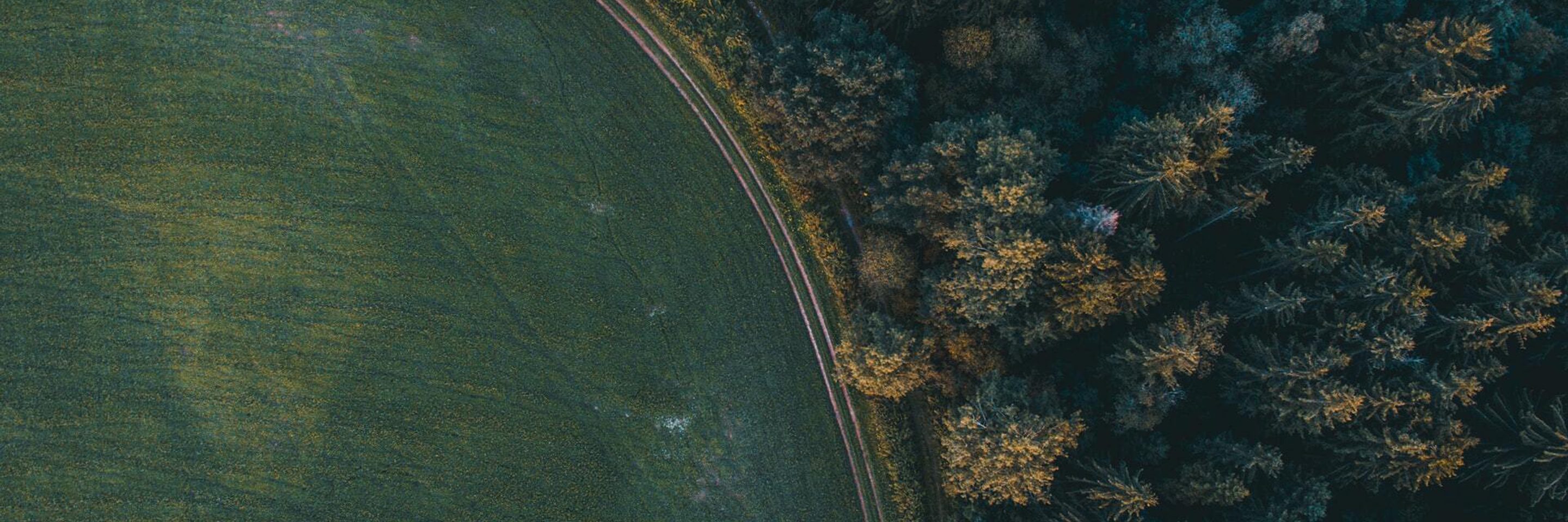 54 AERIAL