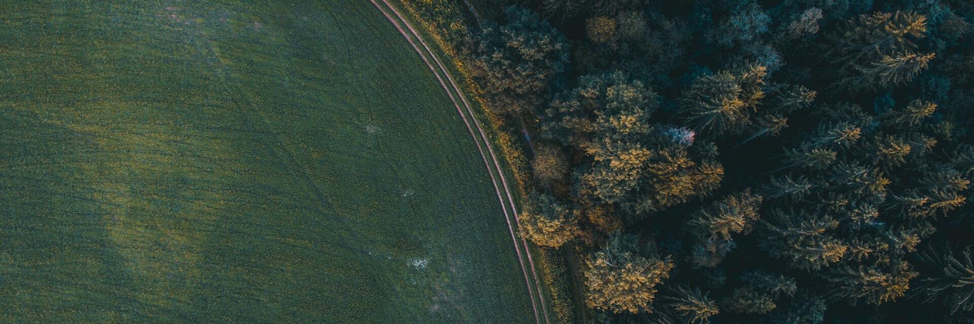54 AERIAL