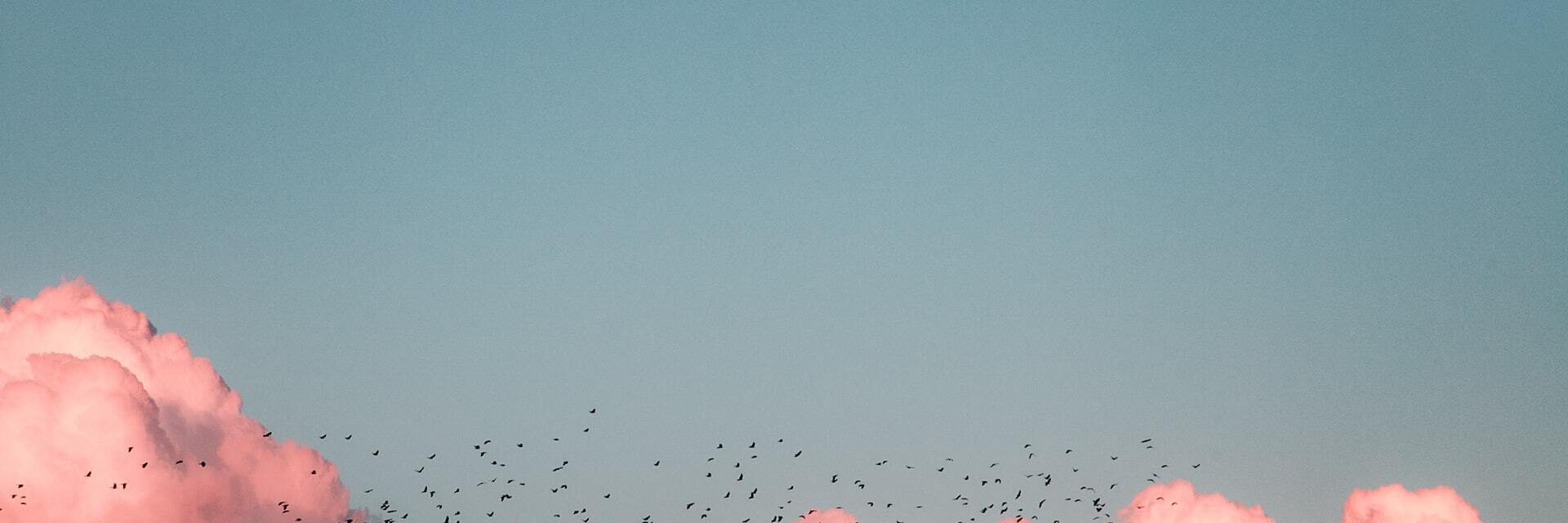 69 AERIAL