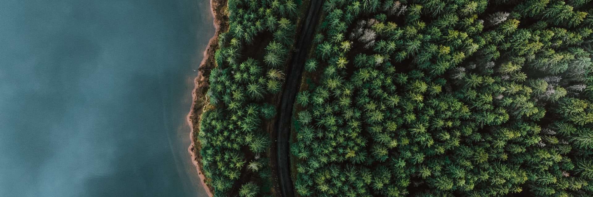 77 AERIAL