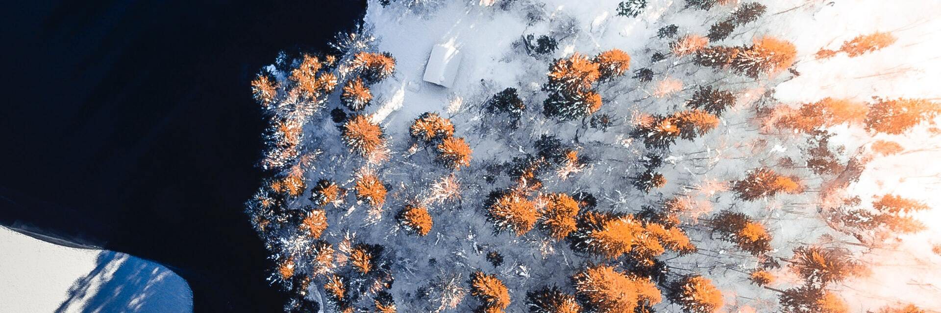 79 AERIAL