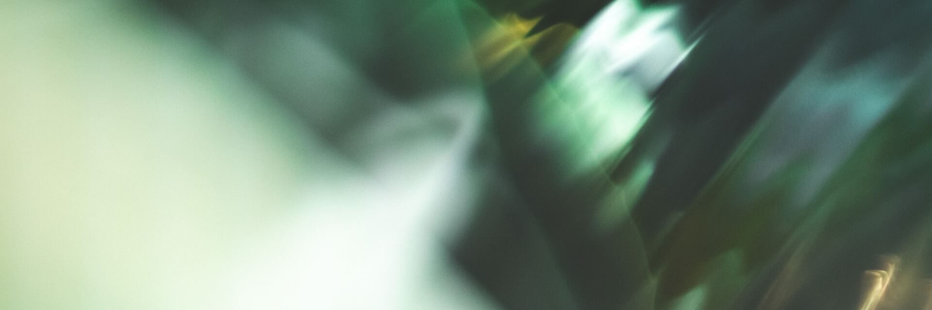 09 TP
