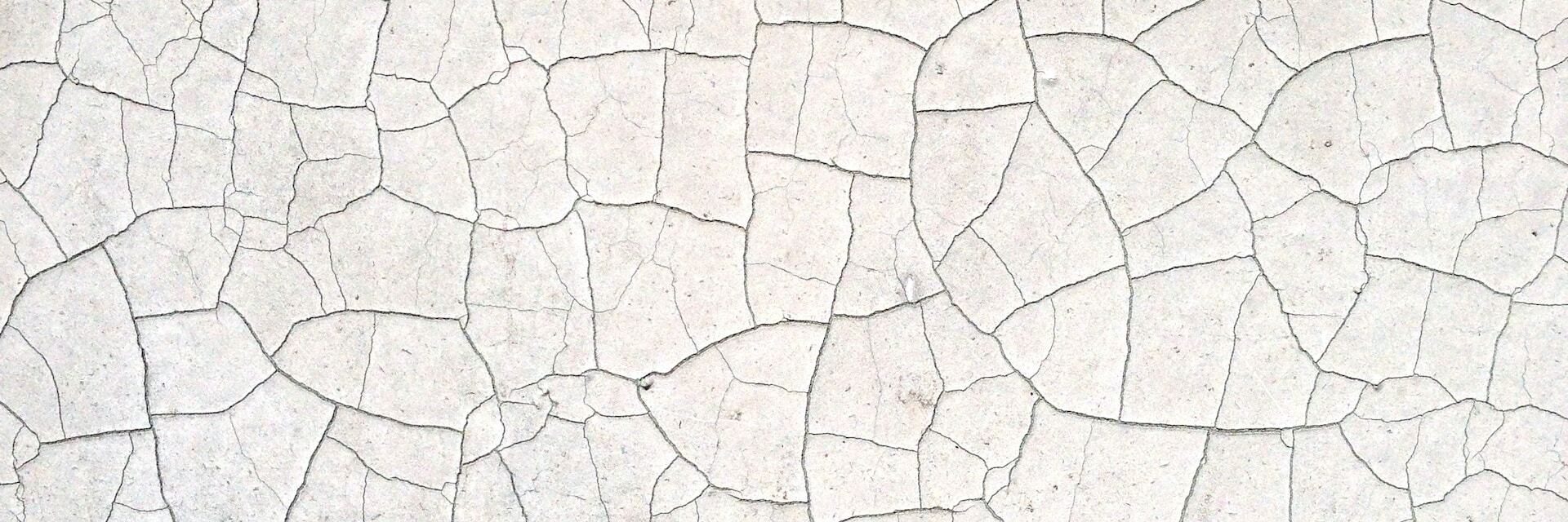 22 TP