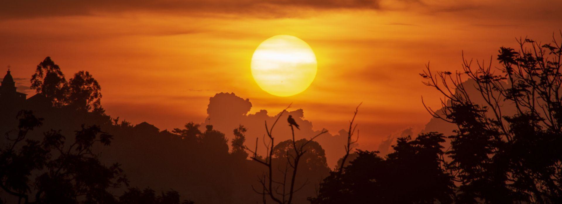 btiom-insight-content-image-8